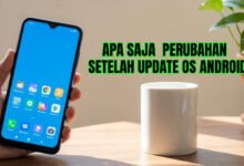 Perubahan Android Terbaru, Setelah Update Android