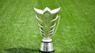 Indonesia Masuk Daftar Kandidat Tuan Rumah Piala Asia 2031 Menurut Pengumuman AFC