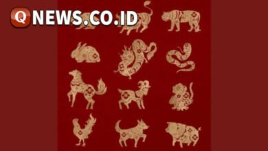 6 Shio Beruntung Dikelilingi Kelimpahan Rezeki pada Jumat 6 Februari 2026