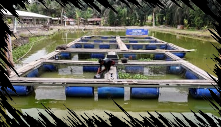 Pemberdayaan BRI Mendorong Pertumbuhan Ekonomi di Desa Empang Baru secara Berkelanjutan Pemberdayaan BRI Mendorong Pertumbuhan Ekonomi di Desa Empang Baru secara Berkelanjutan