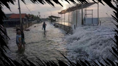 Menteri PU Dorong Pekalongan Jadi Prioritas Pembangunan Giant Sea Wall untuk Cegah Tenggelam