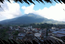 Desa BRILian Sumowono: Inovasi dan Pertumbuhan Desa Sayur Bersama BRI