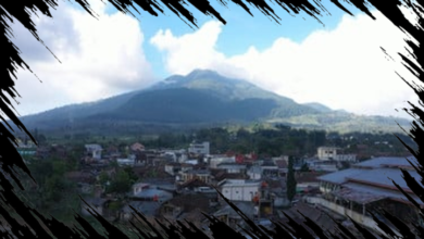 Desa BRILian Sumowono: Inovasi dan Pertumbuhan Desa Sayur Bersama BRI