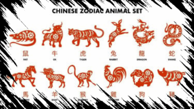 6 Shio Beruntung Sabtu 4 April 2026, Raih Rezeki dengan Mengambil Kesempatan!