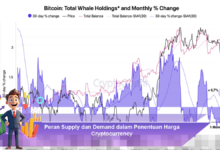Peran Supply dan Demand dalam Menentukan Harga Cryptocurrency dengan Efektif