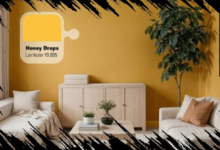 10 Cat Rumah Terbaik di Indonesia untuk Meningkatkan Estetika dan Perlindungan Rumah Anda