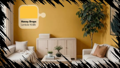 10 Cat Rumah Terbaik di Indonesia untuk Meningkatkan Estetika dan Perlindungan Rumah Anda