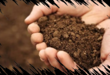 Balik Nama Sertifikat Rumah dari Orang Tua Meninggal ke Ahli Waris dengan Mudah