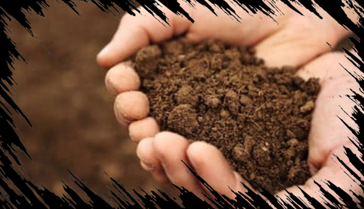 Balik Nama Sertifikat Rumah dari Orang Tua Meninggal ke Ahli Waris dengan Mudah