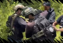 Anggota KKB Ditangkap Satgas Damai Cartenz di Timika, Simak Kasus yang Terlibat!