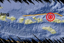 Gempa 7,7 M Guncang NTT, Pemulihan Listrik Capai 99,5% dan Akses Jalan Kembali Normal