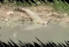 Pria Paruh Baya Hilang Saat Mancing di Sungai Guntung Karawang Dini Hari