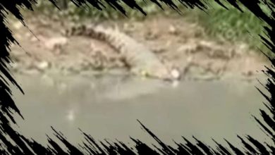 Pria Paruh Baya Hilang Saat Mancing di Sungai Guntung Karawang Dini Hari