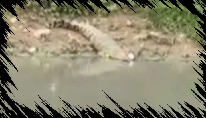 Pria Paruh Baya Hilang Saat Mancing di Sungai Guntung Karawang Dini Hari