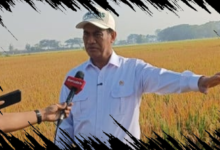 Pertanian Modern Tingkatkan Produksi Dua Kali Lipat, Buktikan Keberhasilan Mentan Amran