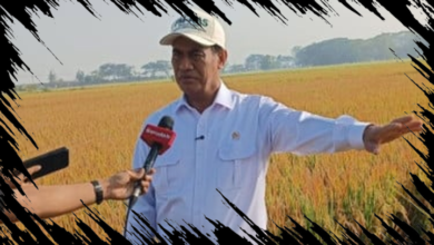 Pertanian Modern Tingkatkan Produksi Dua Kali Lipat, Buktikan Keberhasilan Mentan Amran
