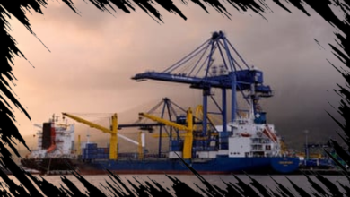 Peluang Ekspansi Perusahaan RI di Pasar Logistik Regional Asia yang Potensial
