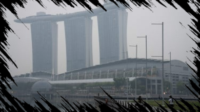 Penanganan Asap Karhutla Antar Negara Harus Libatkan Peran Korporasi secara Aktif